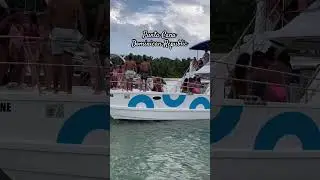 Punta Cana catamaran cruise #shorts #ytshorts #youtubeshorts