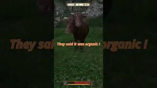 Ever wondered what's in the stew ?  #gaming #kingdomcomedeliverance2 #funnymoments