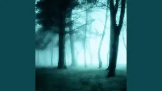 Too Late