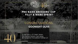 2023 Breeders' Cup Filly & Mare Sprint - Goodnight Olive