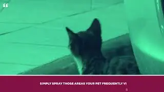 Karlsten Urine Stop & Anti Fouling Spray for Cat and Dog Repellent