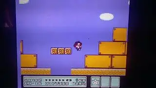 1988 Nintendo NES Super Mario Bros 3 World 2 -3 Sunday January 11th 2026