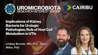 Implications of Kidney Bacteria for Urologic Pathologies; Role of Host Cell Metabolism in UTIs
