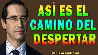 As&iacute; es EL CAMINO DEL DESPERTAR - Mario Alonso Puig transformacionpersonal autoconocimiento
