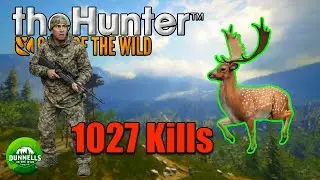 1,027 KILLS IN… Fallow Deer GREAT ONE Grind Continues! | theHunter COTW
