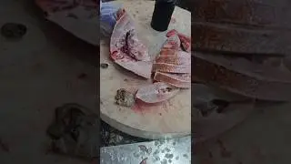 Massive Queen Snappe Fish  Cutting Skills#shorts