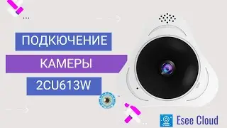 Подключение панорманой камеры 2cu613w RNR на приложениее Esee Cloud