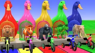 Long Slide Game With Cow Elephant Gorilla Hippopotamus Tiger 3d Animal Game Funny 3d Animals