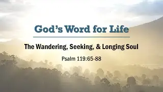 Cokeville Community: God's Word for Life-Wandering, Seeking, Longing Soul Psalm 119:65-88 11-06-22