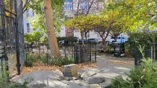 Walking through Columbus Park. Downtown New York City.UHD 60fps .#newyorkcity #flowers