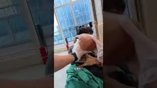 #massage #douyin #chiropractor #boylook #chineseboy #relax #funny #health #mma #motivation