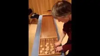 Spelsystemen Sjoelen 180