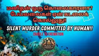 பேய்வலைகள் கடலைக் கொல்லுது! இந்தியா எப்படி போராடுது?/CRADLE TO CREMATION|தொட்டில் முதல் சுடுகாடு வரை