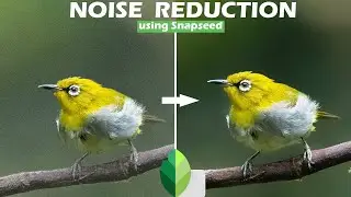 How to Remove Noise from Photos using Snapseed | Malayalam Tutorial