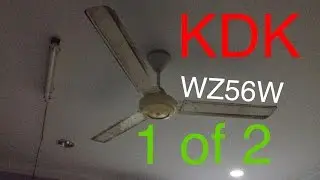 56