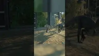 Elaphrosaurus Release Animation | Jurassic World Evolution 2
