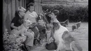 Lassie - Episode 86 - 