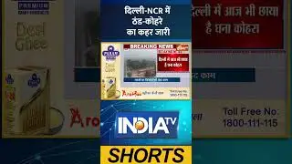 Delhi News: दिल्ली-NCR में ठंड-कोहरे का कहर जारी | #delhiweather #indiatv #delhiwinter #ytshorts