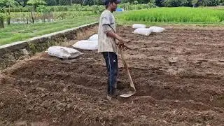 BRILLIANT IDEA: CREATE A PLANT BED EASILY USING SIMPLE TOOLS! - Agriculture Farming