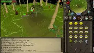 Get Magic logs without 75 Woodcutting - Yommi Tree
