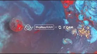 UN/SEEN - Shot on Z CAM F6 + NINJA V in ProRes RAW by James Tonkin (SDR version)