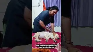 PoV : Nani way of protecting me from evil eyes 👀😇 #anju #labrador