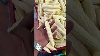 India me Babycorn ki Kheti kaise hoti hai 🌽👩&zwj;🌾 #gharkikheti #farming #babycorn #organicfarming