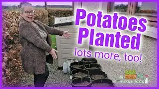 Garden Day! (before the freeze)