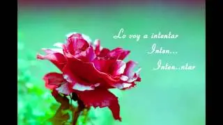 Try - Pink (Cover en Español - Intentar) - Justin Andino