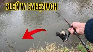 TEN KLEŃ zrobił DZIEŃ