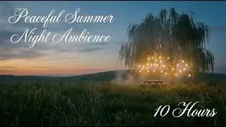Cinematic Cozy Night Ambience | 10 Hours | Crickets Sound, Relaxing Nature & TV Screensaver