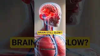 You Slept 8 Hours&hellip; So Why Is Your Brain Still Slow? 🧠