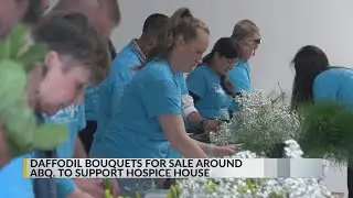 Daffodils on sale in central New Mexico to support hospice house