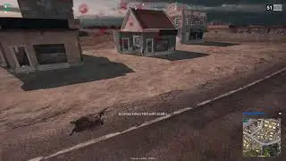 curb your looting