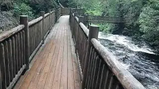 Bushkill falls, better than Niagara?