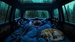 Дождливая ночь в уютной машине 🚗 с громом ⛈️ для мгновенного сна 🌙
