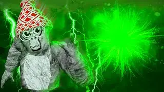 GREEN ORB LIVE EVENT!