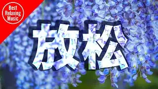 Chinese Relaxing Music instrumental - Tea Ceremony