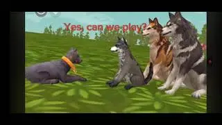 wildcraft wolf with chain on its neck story