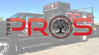 Tree Pros is the No.1 Tree Company in Arizona