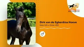 Dirk van de Egberdina Hoeve | Kees 531 x Omer 493