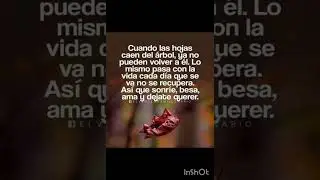 Amor propio