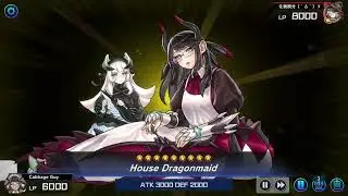 LunaMaidPhotonDiabellWhiteForestHeroRoseDragon deck SYNCHRO X FUSION EVENT