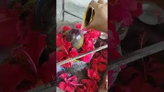 Navratri mein Bhagwan Shiv ki aradhna Puja karne ka mahatva #mahakutami #lorddurga