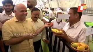 500 Varieties of Mangoes In Display At Mango Festival In Dilli Haat