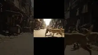 ⚠️ Indian Street Dogs Attack Man | Shocking Real Incident 🐕😨#attack #hurt #injury #fight #barking