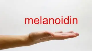 How to Pronounce melanoidin - American English