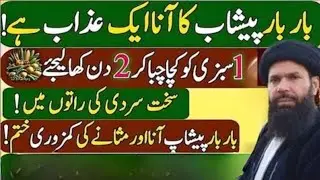 Hikmat ki Batain/ Rumi Quotes/Quotes About Life / Life Quotes / Hazrat Ali / Sunhary Haroof / Golden