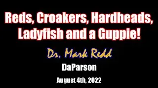 DaParson Fishing:  Reds, Croakers, Hardheads, Ladyfish and a Guppie!