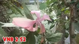 New Golpo -  ভয় নাকি ভালোবাসা ( Part :- 3 ) Voy Naki Valobasha Salma voice 10   